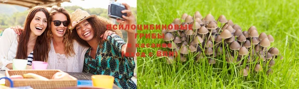 экстази Алексеевка