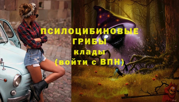 эйфоретик Алзамай