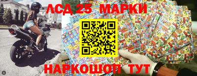 прущие грибы Вязьма