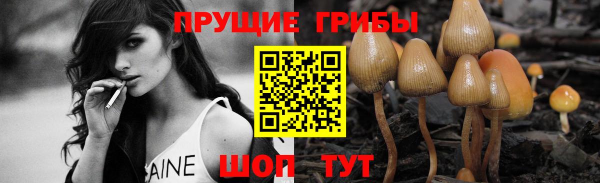 Псилоцибиновые грибы Magic Shrooms Невинномысск